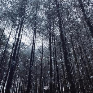 摸老公鸡巴视频
