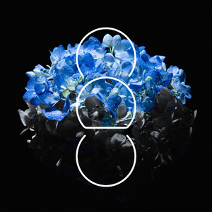 摸老公鸡巴视频
